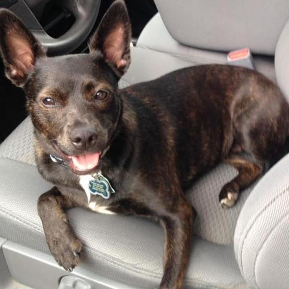 Meet your Posher, Jacquelyn